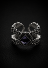 DevilClaw Reversed Set Ring